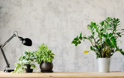 Wallpaper Border Installation in Overland Park, KS